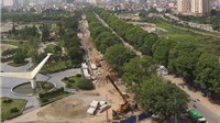 Hà Nội: Chặt hạ hơn 1.000 cây cổ thụ trên đường Phạm Văn Đồng
