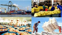 Tổng kim ngạch xuất khẩu nông, lâm, thủy sản 10 tháng ước đạt hơn 59 tỷ USD