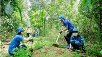 Nghiên cứu đề xuất áp dụng cơ chế chi trả chỉ số môi trường rừng