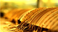 Phiên giao dịch đầu năm: Giá vàng SJC giảm nhẹ, tỷ giá USD tăng trở lại