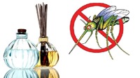 Những cách đuổi muỗi tự nhiên, an toàn và hiệu quả