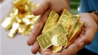 Ngày 5/8: Giá vàng SJC quay đầu tăng mạnh, tỷ giá USD tiếp tục “bất động”