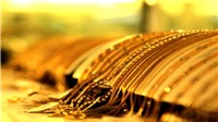 Ngày 28/11: Giá vàng SJC tăng nhẹ, tỷ giá trung tâm giảm 5 đồng/USD