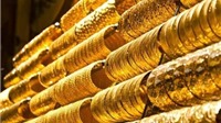Ngày 20/1: Giá vàng SJC biến động tăng nhẹ, tỷ giá trung tâm tăng thêm 13 đồng