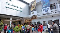 Lịch mở cửa tham quan miễn phí Bảo tàng Thiên nhiên Việt Nam 