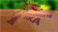 Cập nhật danh sách các nước có bệnh nhân lây nhiễm virus Zika, ở Châu Á có Thái Lan