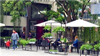 10 quán Cafe bạn nên trải nghiệm 1 lần khi đến Hà Nội