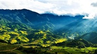 Top 5 thung lũng đẹp và rộng lớn nhất Việt Nam bạn nên đến một lần trong đời