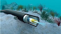Google mở rộng tuyến cáp quang ngầm dưới biển để nâng chất lượng