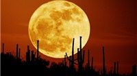 Siêu Mặt Trăng lớn nhất thế kỷ chiếu sáng bầu trời Việt Nam ngày 14/11