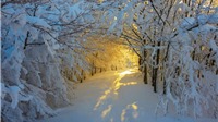 Cảnh sắc tuyệt đẹp của mùa đông trên khắp thế giới