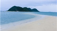 Những con đường xuyên biển đẹp mê hồn ở Việt Nam là lựa chọn hàng đầu cho hè 2017