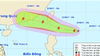 Tin bão mới nhất: Bão số 6 Hato trên Biển Đông