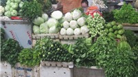 Hà Nội: Giá rau xanh tăng mạnh vì rét đậm kéo dài