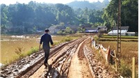 Tan tác vùng lúa đặc sản Lào Cai sau ngập úng lịch sử
