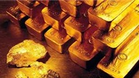 Giá vàng ngày 30/3: Vàng trong nước giảm sốc trước sự phục hồi của USD