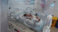 Tìm thấy vi khuẩn kháng thuốc ở 2 bé sơ sinh chuyển lên từ Bắc Ninh