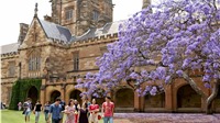 Săn học bổng mới nhất của Úc dành riêng cho sinh viên Việt năm 2018