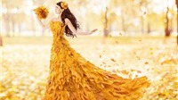 Gam màu mùa thu: Khi sắc vàng không còn dành cho sự u sầu
