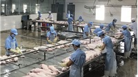 Kiểm tra các chuỗi sản xuất thịt lợn Việt Nam