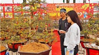 Hà Nội: Tưng bừng sắc xuân tại hội chợ hoa quận Nam Từ Liêm