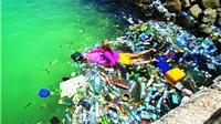 Coca-Cola và Pepsi bắt tay hợp tác giảm rác thải nhựa ra môi trường