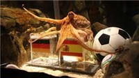 Mạng Nơ-ron nhân tạo dự đoán Đức vô địch World Cup 2018