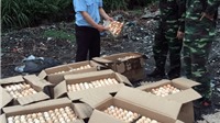 Bắt giữ gần 6.000 quả trứng gia cầm nhập lậu