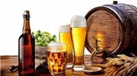 Cân nhắc kỹ về kinh phí phục vụ hoạt động phòng, chống tác hại của rượu, bia