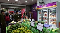 Hà Nội cấp biển nhận diện trái cây an toàn cho 766 cửa hàng