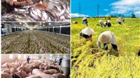 10 thành tựu nổi bật của ngành nông nghiệp Việt Nam năm 2018