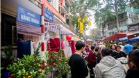 Chợ hoa Hàng Lược - Vị Tết của người Hà Nội