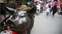 Chiêm ngưỡng lợn đồng “độc nhất vô nhị” giá 150 triệu đồng chào Tết Kỷ Hợi