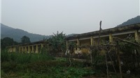 Tết lặng lẽ của những mảnh đời cuối cùng ở trại phong bỏ hoang tại Hà Nội