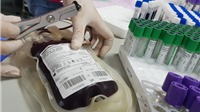 Thiếu trầm trọng, máu chỉ đủ cho 2-3 ngày điều trị ở Viện huyết học lớn nhất cả nước