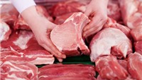 Dịch tả lợn xâm nhập Việt Nam, có nên tẩy chay thịt lợn, lựa chọn thịt lợn sạch như thế nào?
