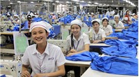 Việt Nam đẩy mạnh hợp tác kinh tế với Triều Tiên, Hoa Kỳ