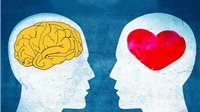 Làm sao để phát triến trí thông minh cảm xúc trong bạn? (P2: Kết nối với người khác)