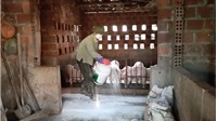 Quảng Ninh: Phát hiện thêm một ổ dịch tả lợn châu Phi