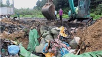 Quảng Ninh: Bắt giữ và buộc tiêu hủy gần 2 tấn nầm lợn nhập lậu