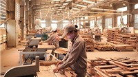 Việt Nam tăng cường kiểm soát nguồn gỗ nhập khẩu