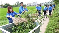 Hà Nội triển khai Tuần lễ quốc gia nước sạch và vệ sinh môi trường năm 2019