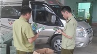 Lạng Sơn: Thu giữ hơn 1000 tuýp kem đánh răng nhập lậu từ Trung Quốc đang trên đường đi tiêu thụ