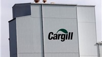 Thu hồi gần 150 tấn thức ăn chăn nuôi chứa aflatoxin của tập đoàn Cargill