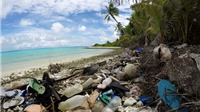 New Zealand: Chính thức cấm túi nhựa sử dụng một lần