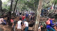 Yên Bái: Người dân đổ xô lên rừng đào đá quý