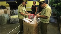 Lạng Sơn: Thu giữ 1000  bánh ngọt nhân trứng và bánh dẻo nhập lậu