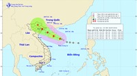 Cơn bão số 1 đang hướng vào Quảng Ninh, Hải Phòng