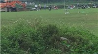 Mang lợn chết ra sân bóng chôn, kỷ luật 1 chủ tịch xã ở Quảng Ninh