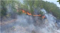 Hà Tĩnh: Đang cháy lớn tại Núi Nầm